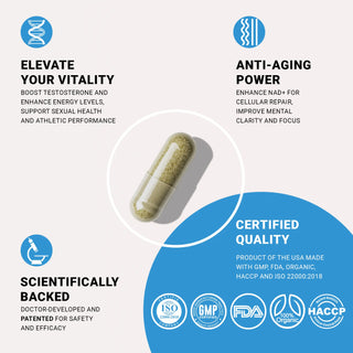 NAD+HIM® 90 Capsules |Boost Testosterone, NAD+, Stem Cell Health & Glutathione for Vitality, Energy, and Performance Cellregen